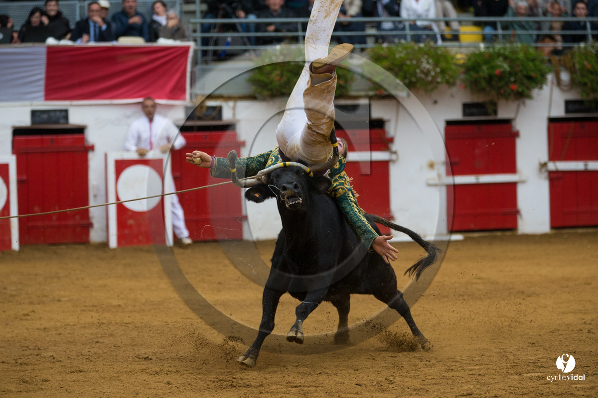 Nogaro Championnatde France de Course Landaise 2017