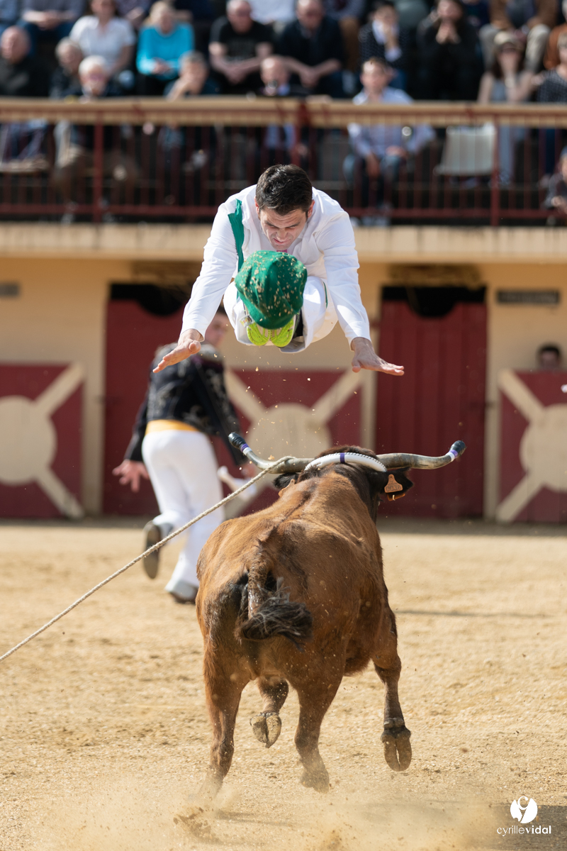 Course landaise Le Houga Ganadéria Dussau Cuadrilla Alexandre Brethes
