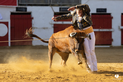 Nogaro Championnat de France de course landaise 2022