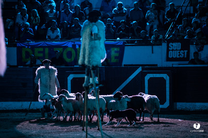 Landes émotions à Aire-sur-l'Adour