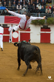 Nogaro Championnatde France de Course Landaise 2017
