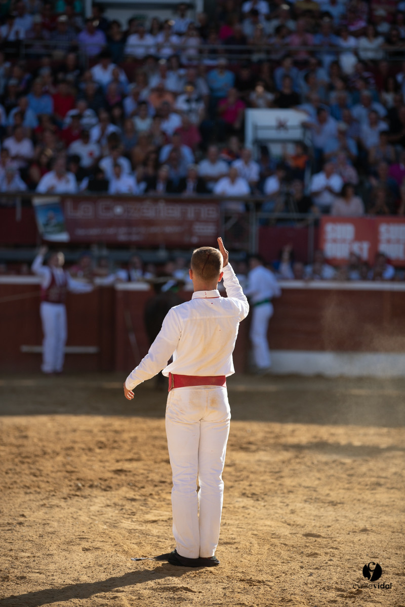 Mont-de-Marsan championnat de France de course landaise 2019