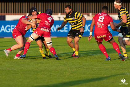 Stade Montois Rugby - Grenoble