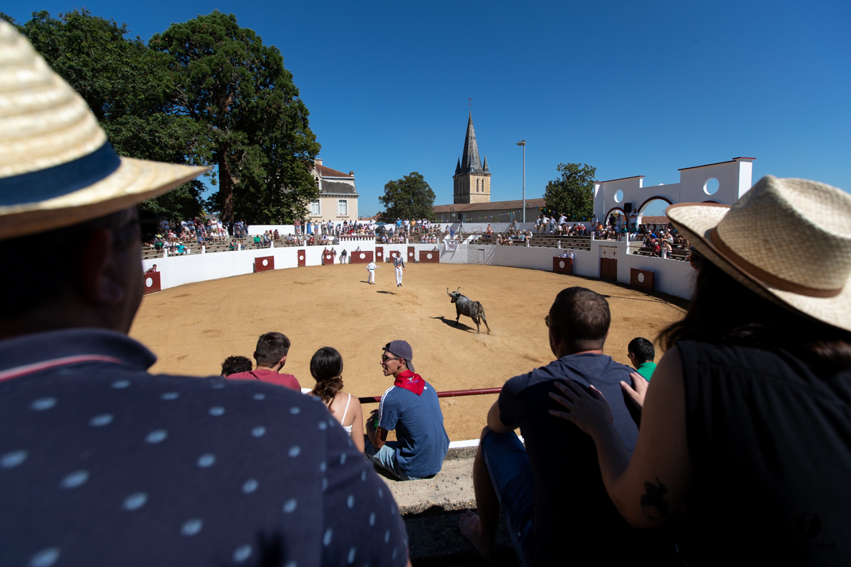Saint-Cricq Chalosse course landaise de promotion Ganadéria Deyris Cuadrilla Jérémy Lafitte
