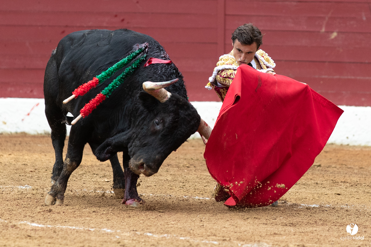 Corrida d'Aire sur l'Adour