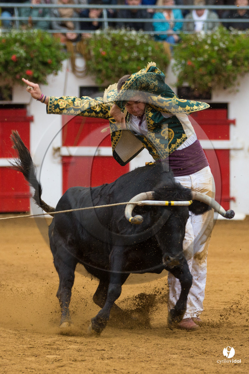 Nogaro Championnatde France de Course Landaise 2017