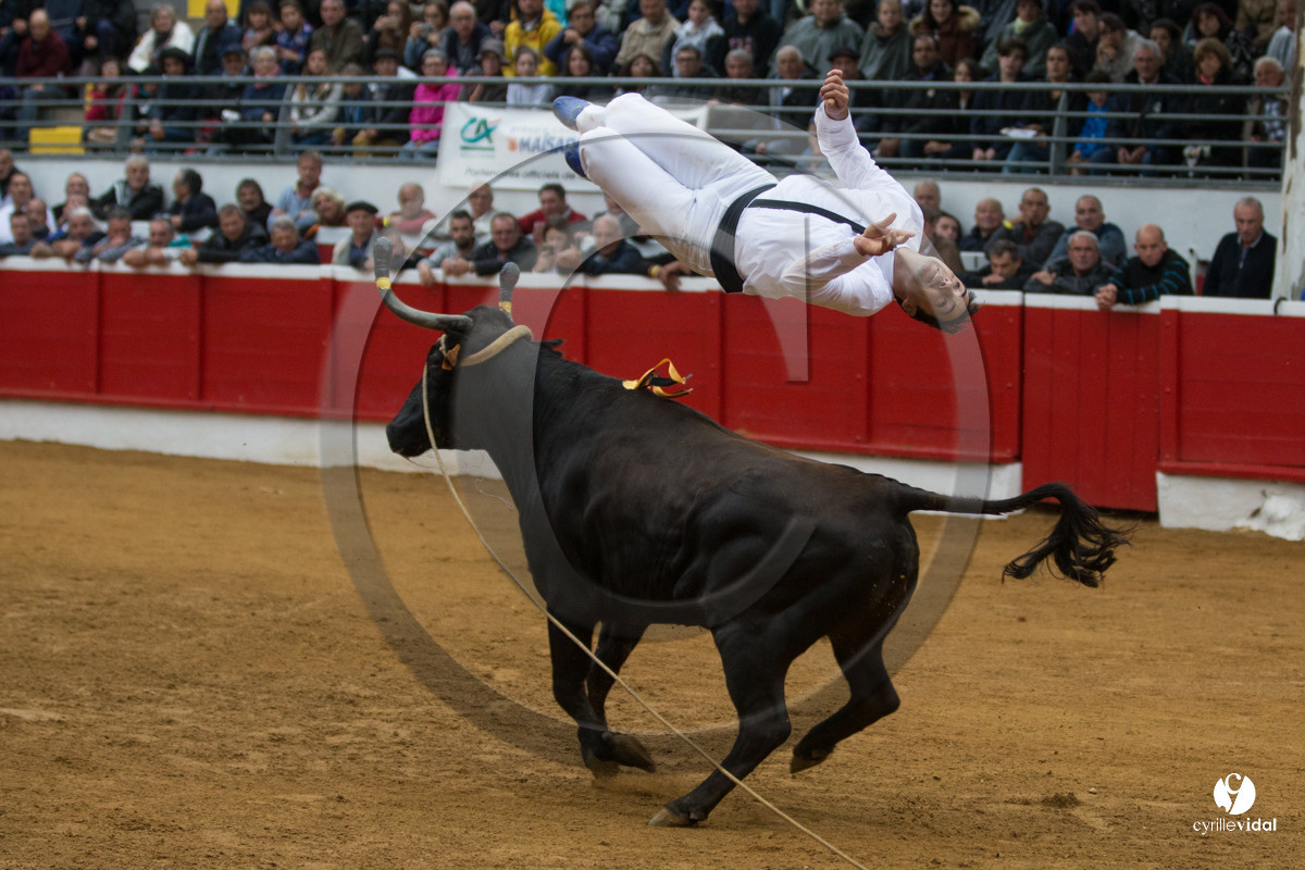Nogaro Championnatde France de Course Landaise 2017