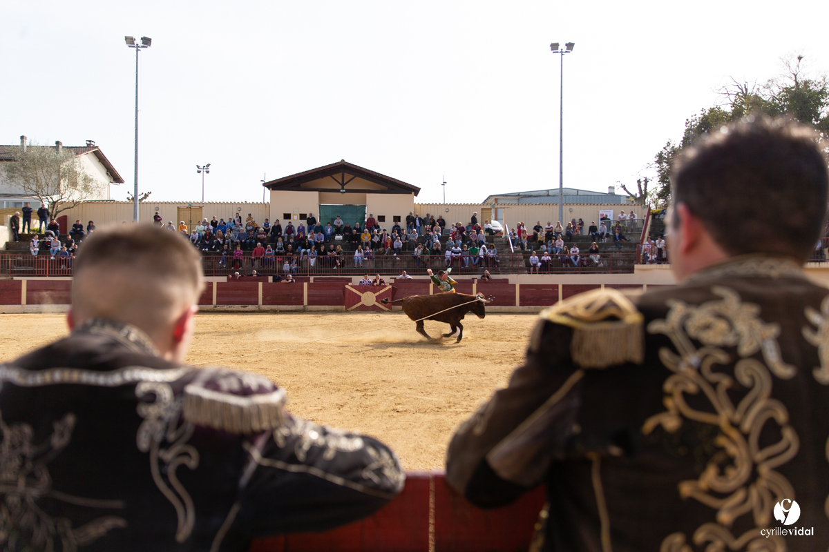 Course landaise Le Houga Ganadéria Dussau Cuadrilla Alexandre Brethes