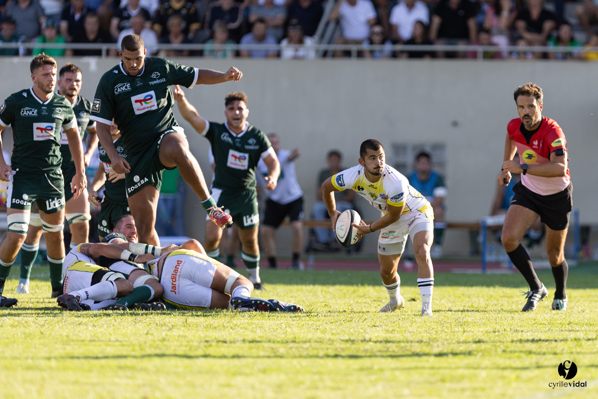 Stade Montois Rugby - Section Paloise