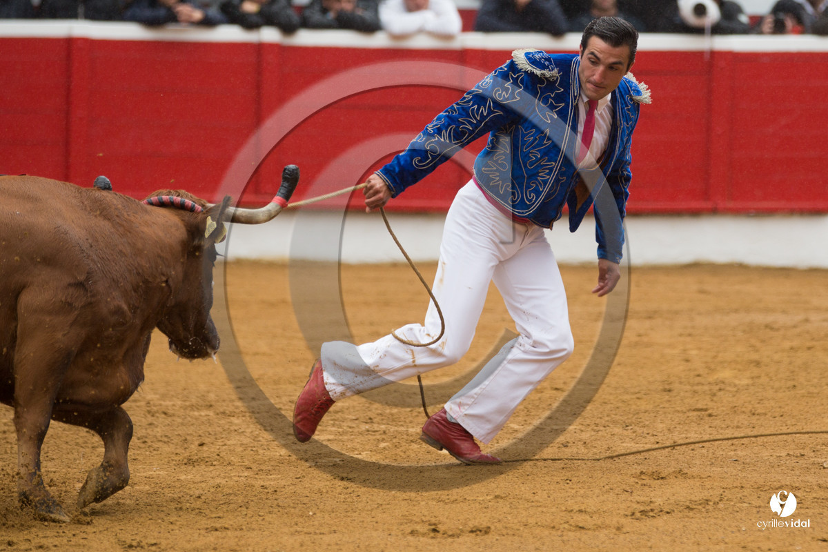 Nogaro Championnatde France de Course Landaise 2017