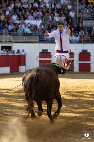 Nogaro Championnat de France de course landaise 2022