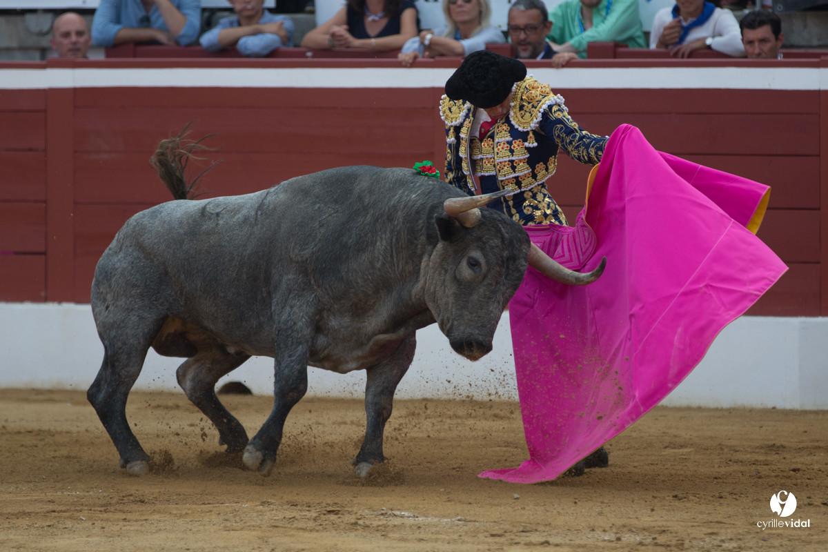 Mont-de-Marsan corrida d'Adolfo Martin
