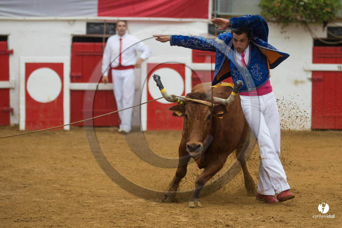 Nogaro Championnatde France de Course Landaise 2017