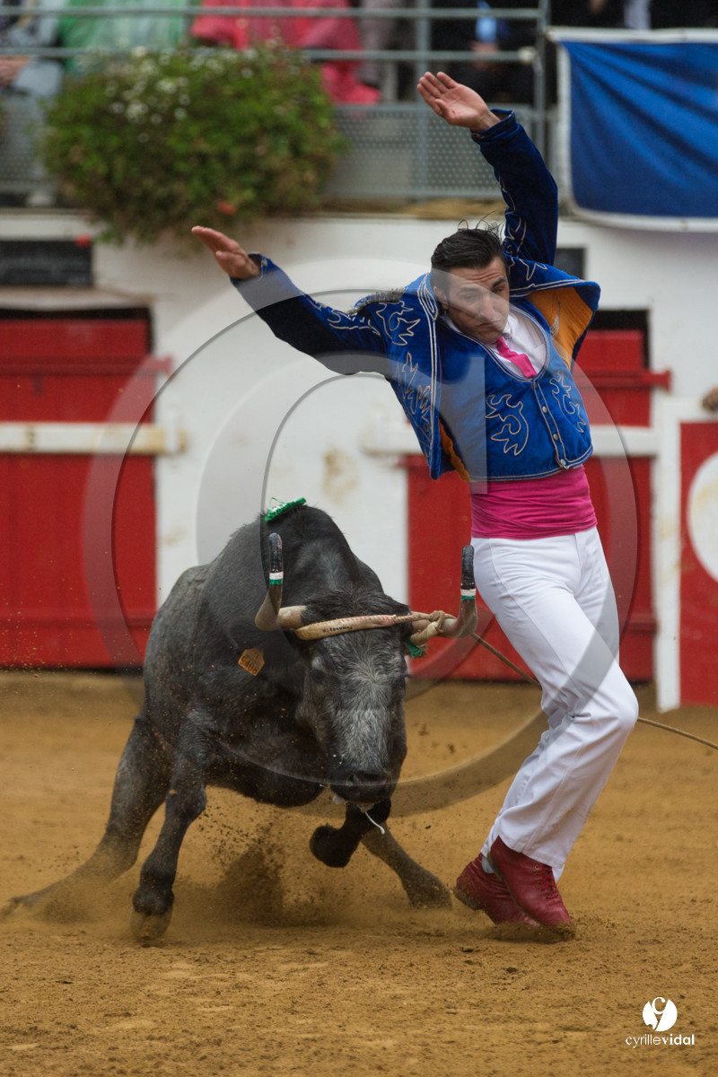 Nogaro Championnatde France de Course Landaise 2017