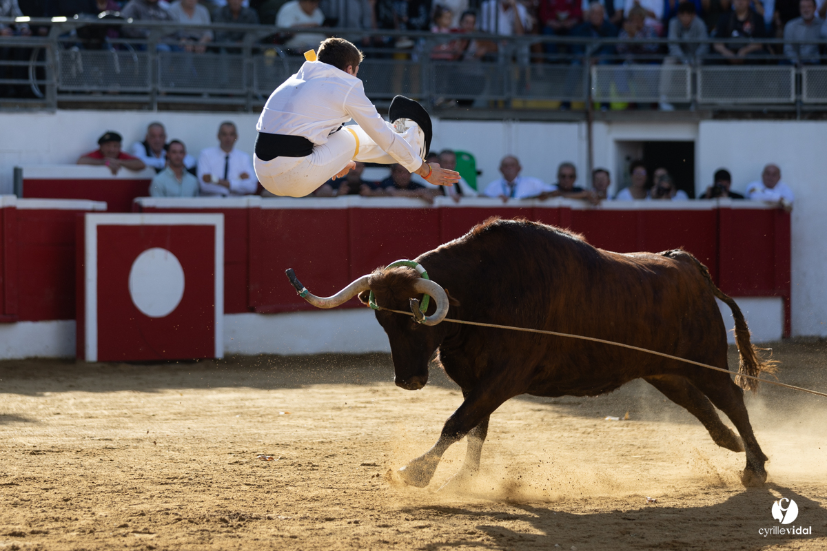 Nogaro Championnat de France de course landaise 2022
