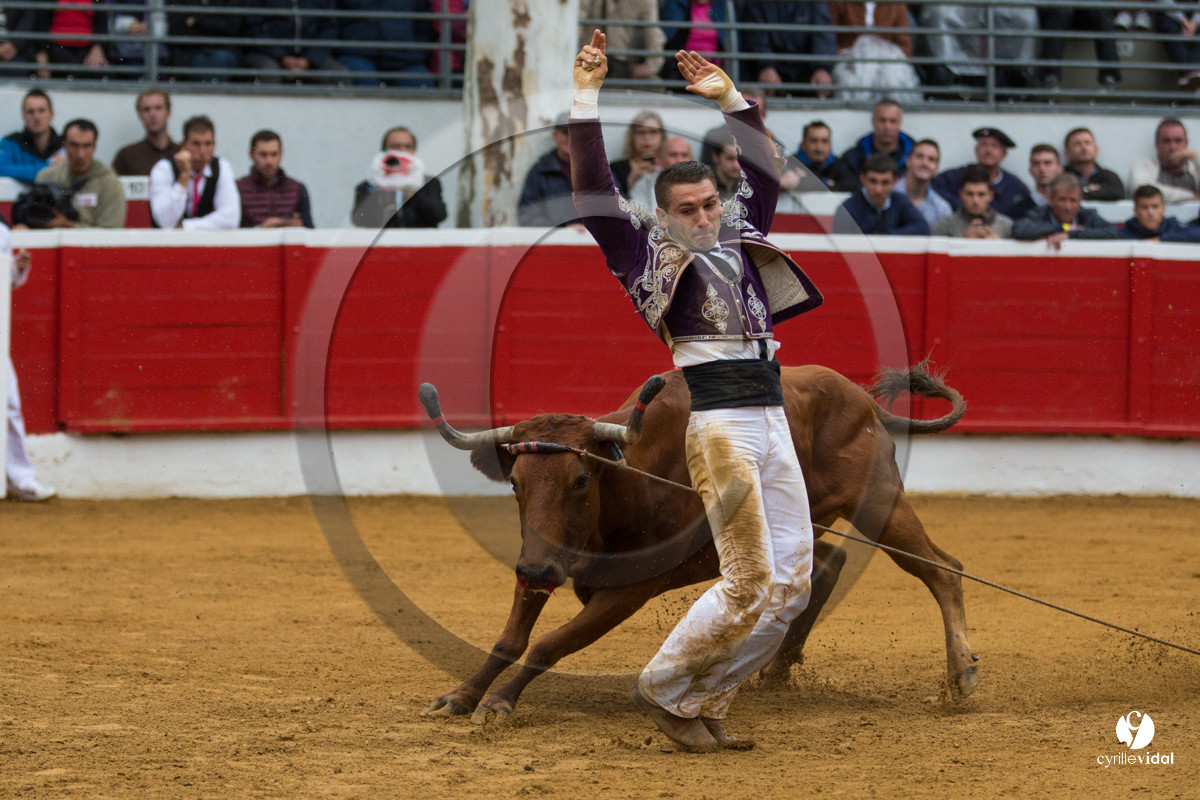 Nogaro Championnatde France de Course Landaise 2017