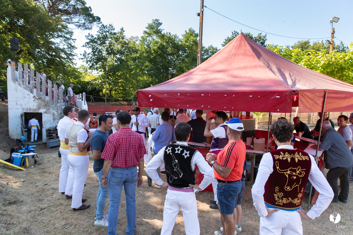 Course landaise à Panjas