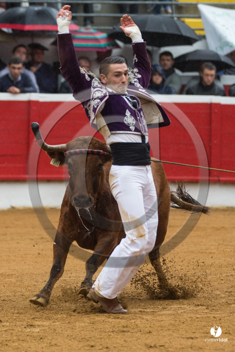 Nogaro Championnatde France de Course Landaise 2017