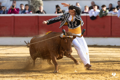 Nogaro Championnat de France de course landaise 2022