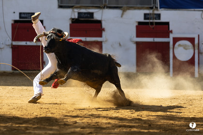Nogaro Championnat de France de course landaise 2022