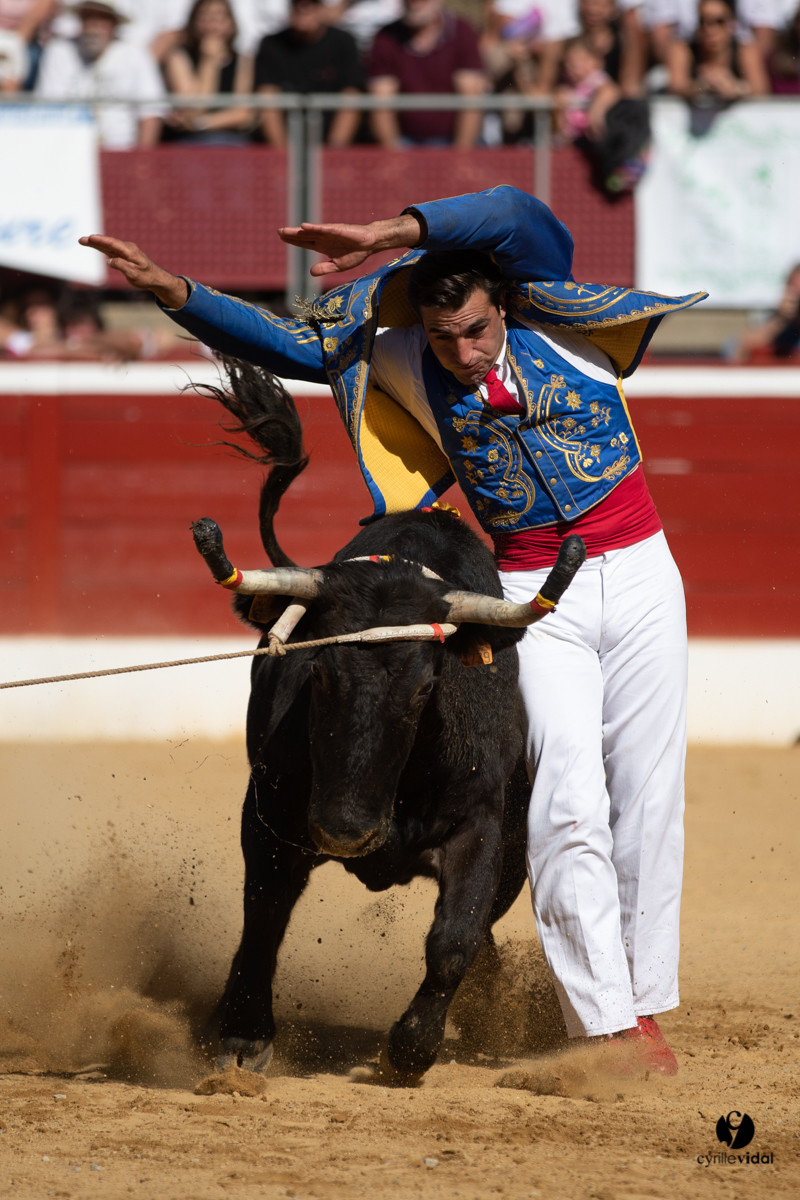 Mont-de-Marsan championnat de France de course landaise 2019