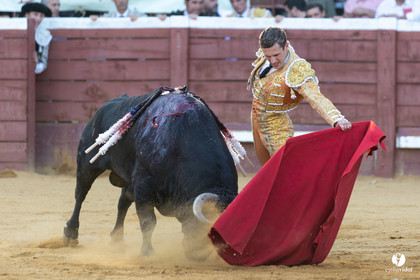 Corrida de Villeneuve-de-Marsan