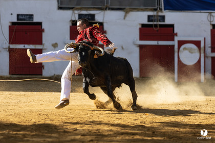 Nogaro Championnat de France de course landaise 2022