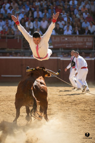 Mont-de-Marsan championnat de France de course landaise 2019