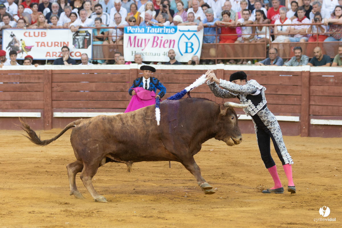 Corrida de Villeneuve-de-Marsan
