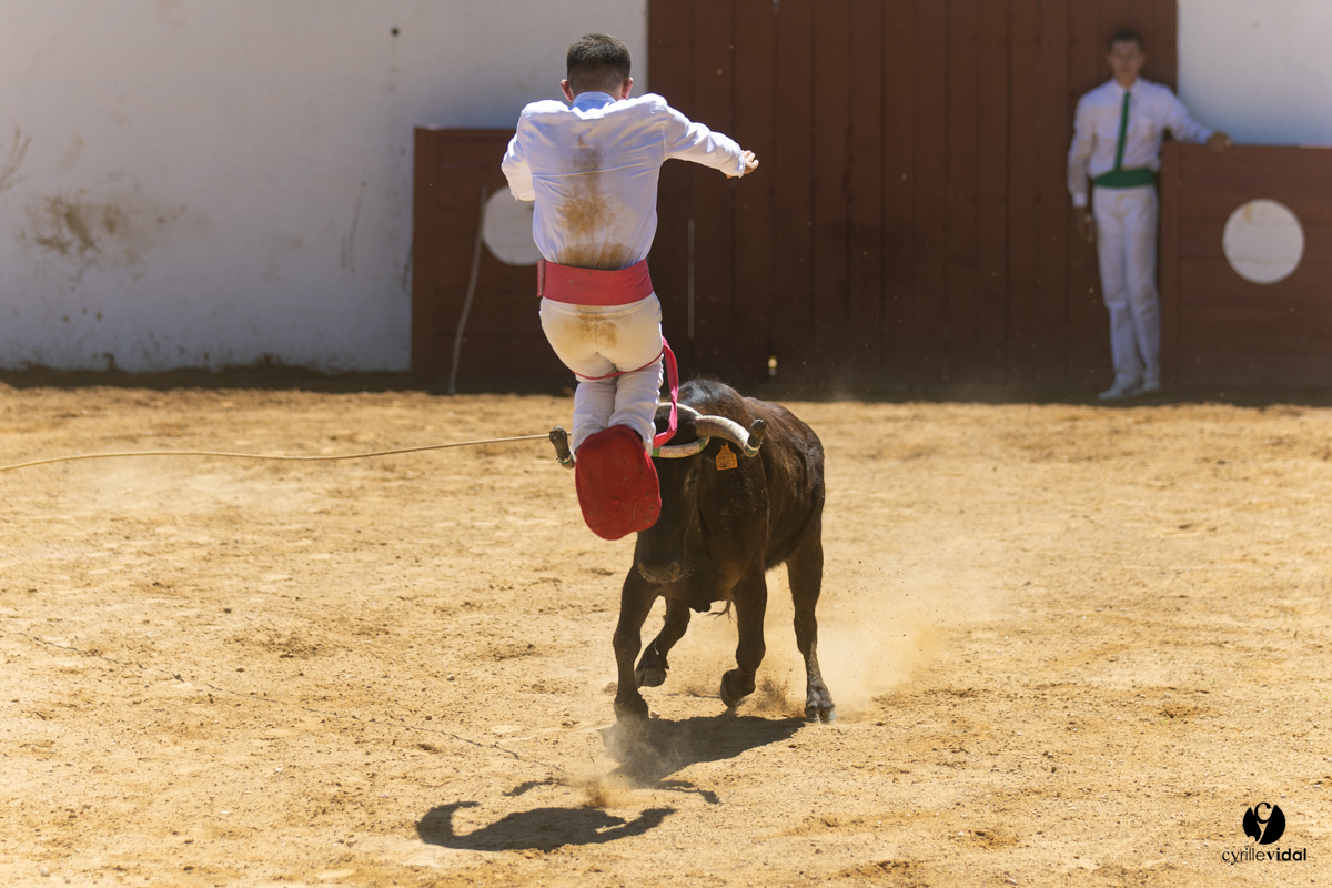 Saint-Cricq Chalosse course landaise de promotion Ganadéria Deyris Cuadrilla Jérémy Lafitte