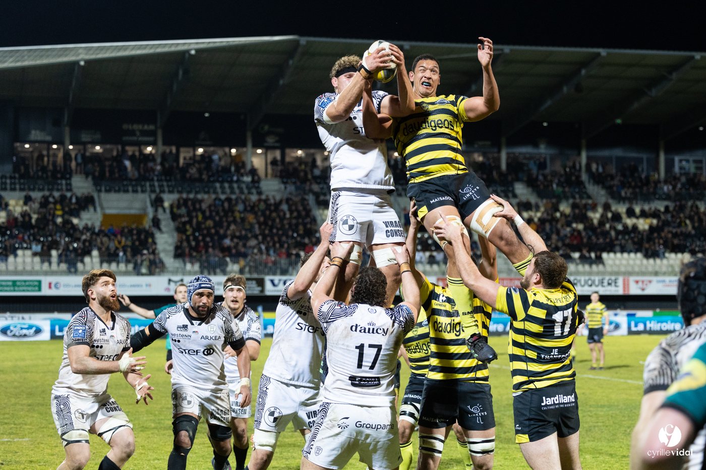 Stade Montois Rugby - Vannes