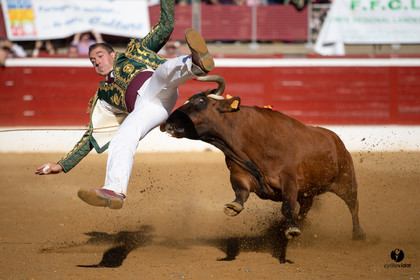 Mont-de-Marsan championnat de France de course landaise 2019