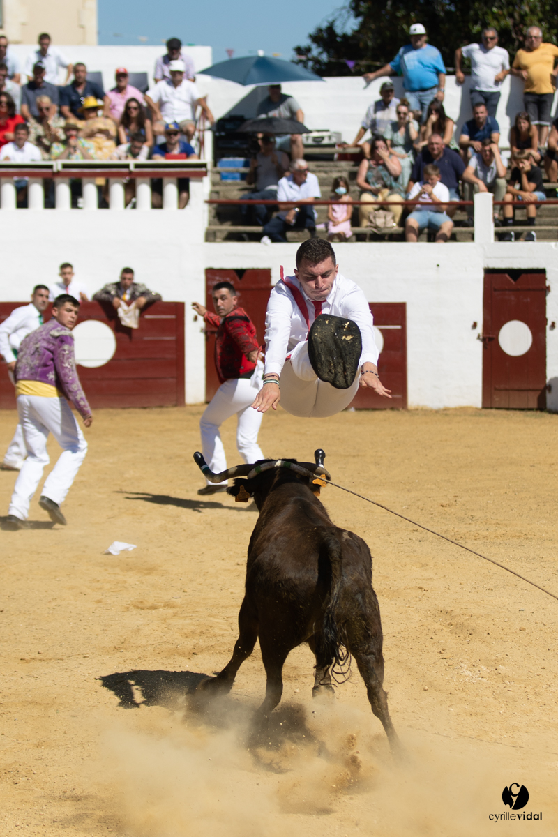 Saint-Cricq Chalosse course landaise de promotion Ganadéria Deyris Cuadrilla Jérémy Lafitte