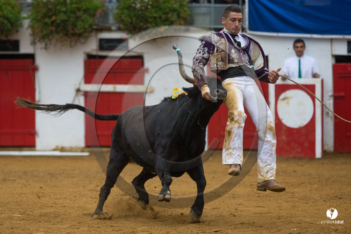 Nogaro Championnatde France de Course Landaise 2017