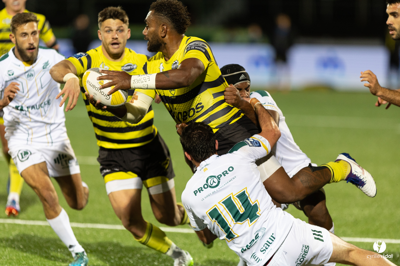 Stade Montois Rugby - Montauban