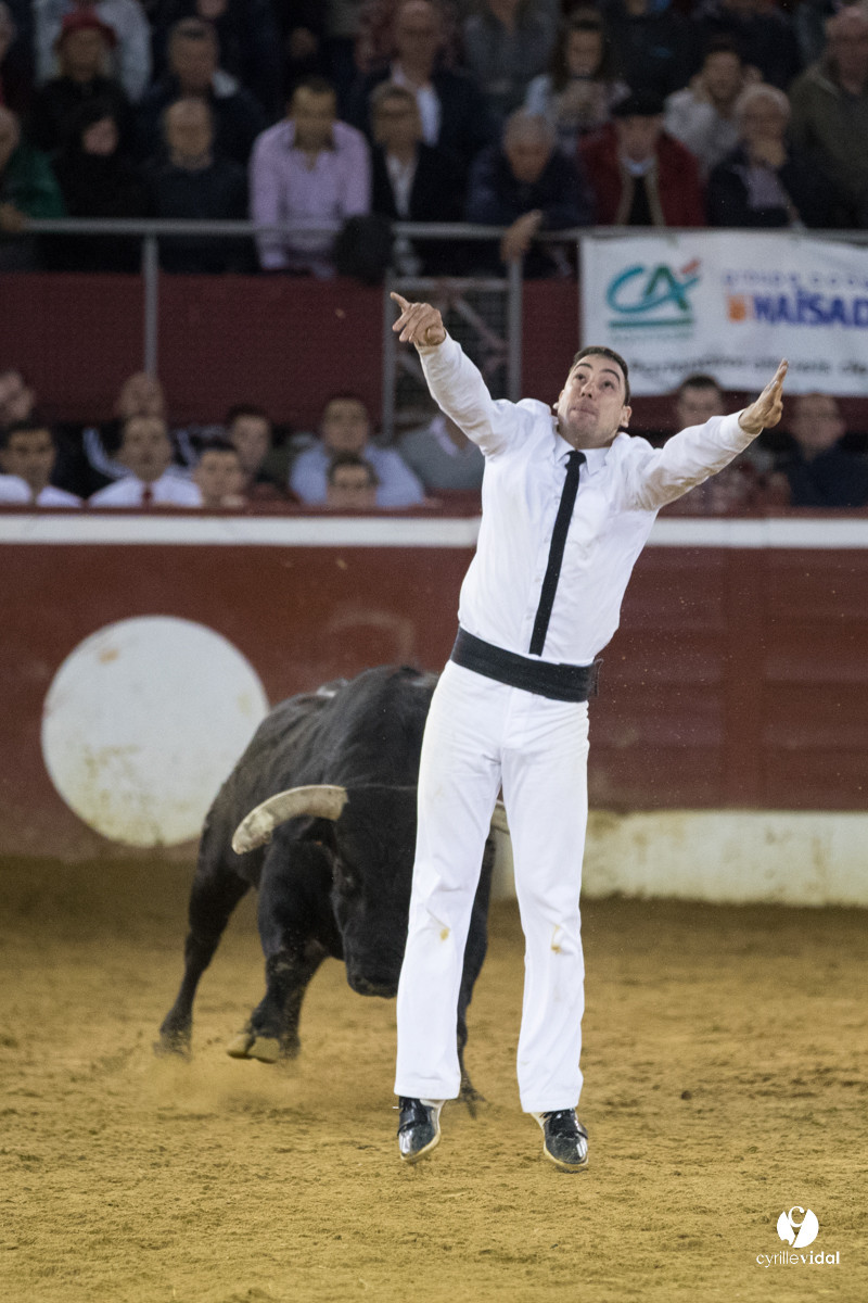 Mont-de-Marsan festival Art et Courage