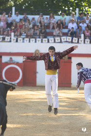 Course landaise à Panjas