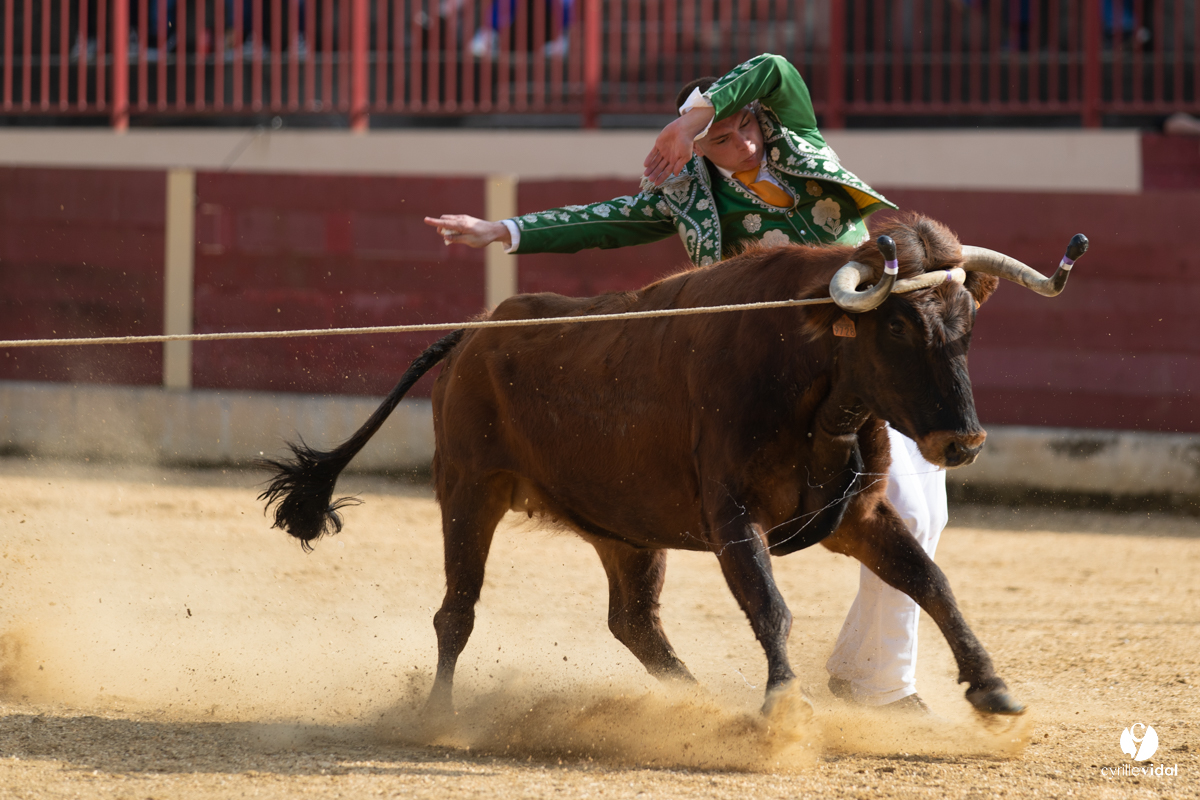 Course landaise Le Houga Ganadéria Dussau Cuadrilla Alexandre Brethes