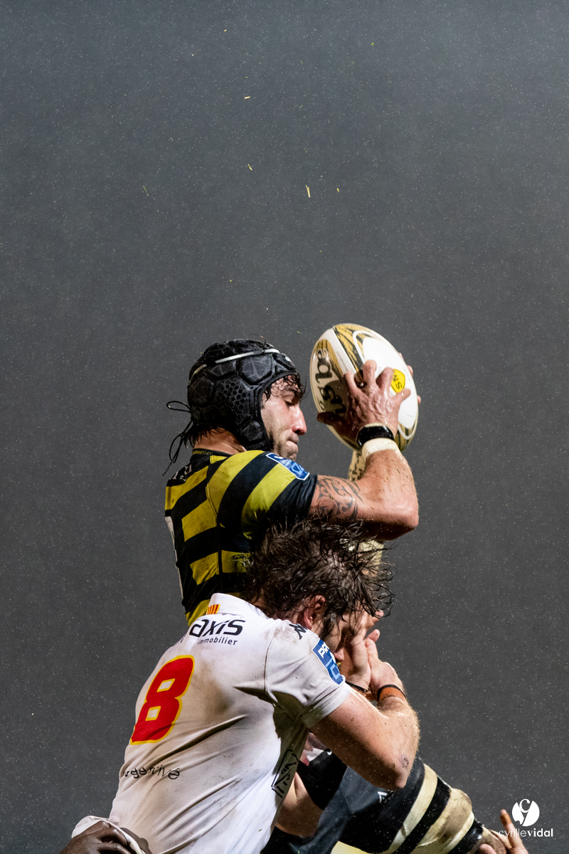 Stade Montois Rugby - Provence