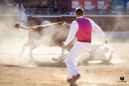 Mont-de-Marsan championnat de France de course landaise 2019