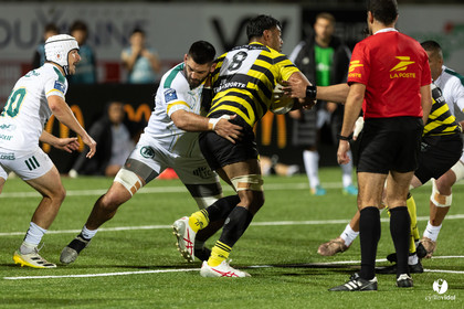 Stade Montois Rugby - Montauban