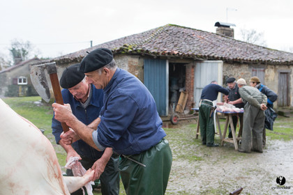Jours de pelère