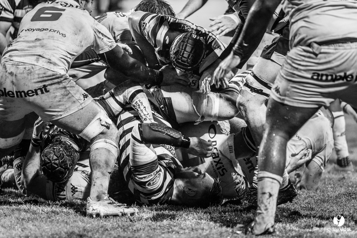 Stade Montois Rugby - Provence