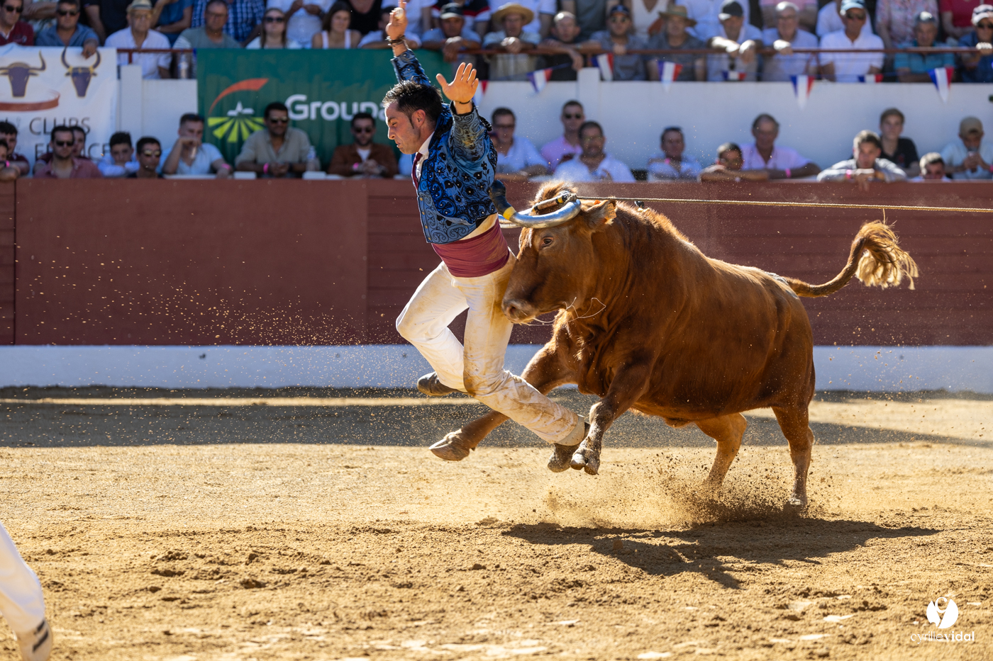 Aire-sur-l'Adour Championnat de France de course landaise 2023