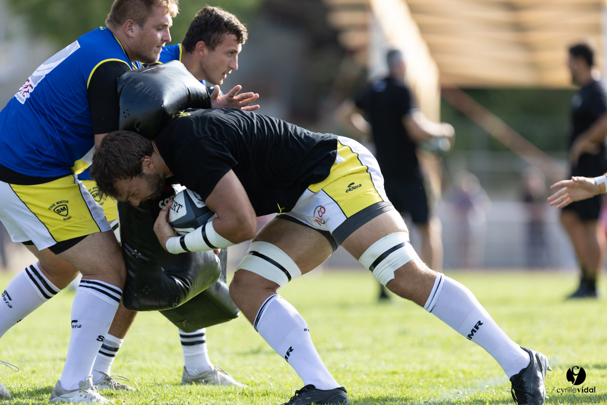 Stade Montois Rugby - Section Paloise