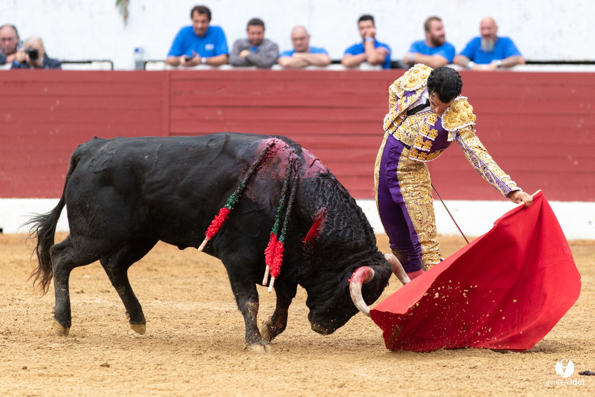 Corrida d'Aire sur l'Adour