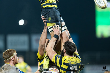 Stade Montois Rugby - Carcassonne