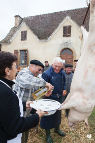Jours de pelère