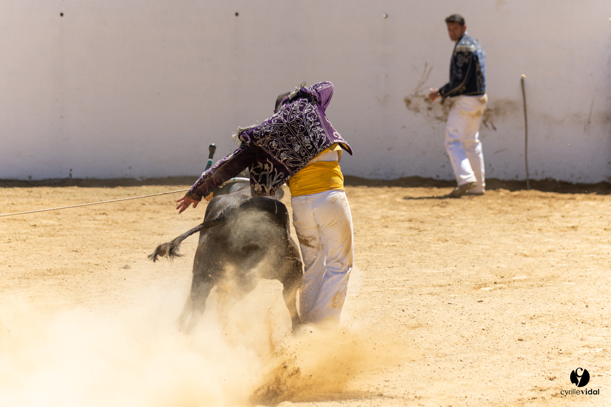 Saint-Cricq Chalosse course landaise de promotion Ganadéria Deyris Cuadrilla Jérémy Lafitte
