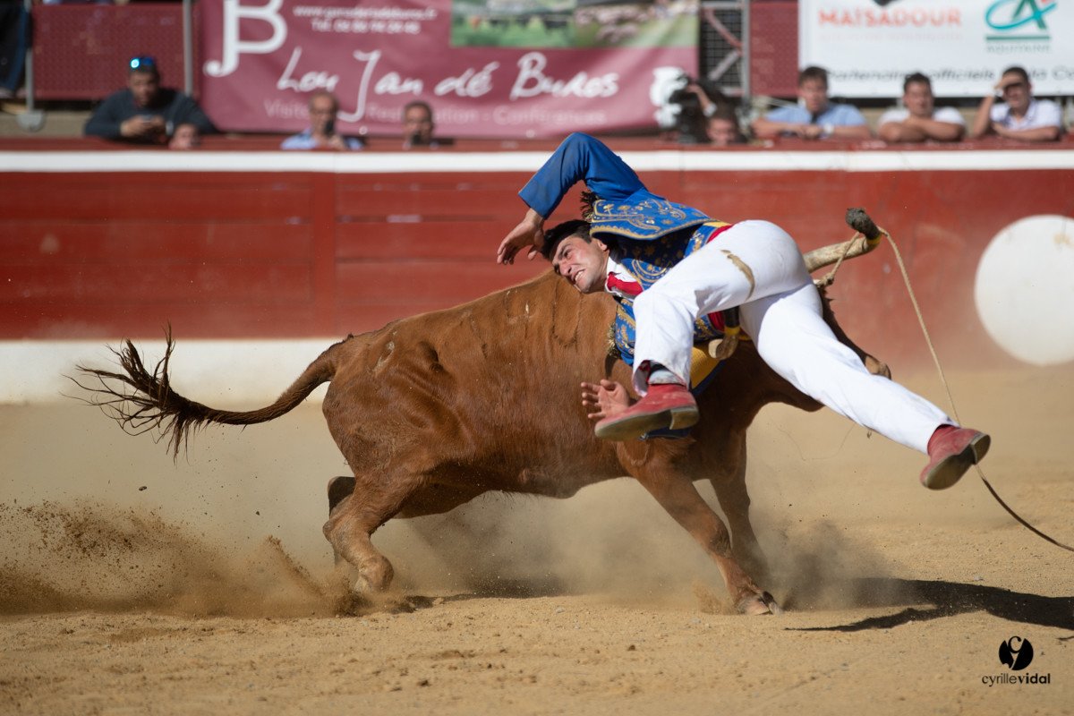 Mont-de-Marsan championnat de France de course landaise 2019